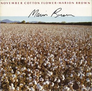 November Cotton Flower