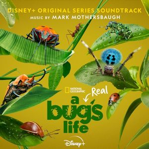 A Real Bug’s Life (Original Series Soundtrack) (OST)