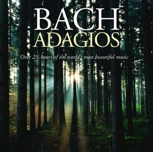 Concerto for Flute, Harpsichord, Strings, and Basso Continuo in A minor, BWV 1044 "Triple Concerto": Adagio, ma non tanto, e dol