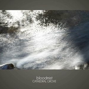 Cathedral Grove (Single)