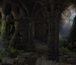 image-https://media.senscritique.com/media/000021938068/0/deathfire_ruins_of_nethermore.jpg