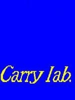Carry Lab