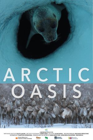 Oasis Arctique