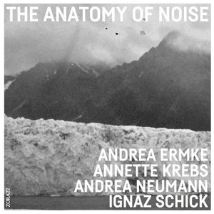 The Anatomy of Noise