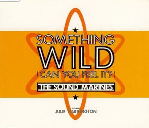 Something Wild (Can You Feel It?) (Single)