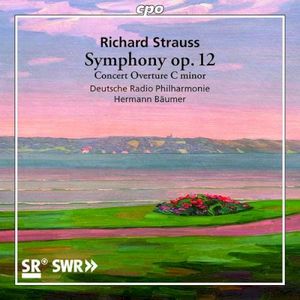 Symphony Op. 12 / Concert Overture C Minor