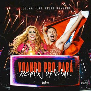 Voando pro Pará (Pedro Sampaio Remix Oficial)