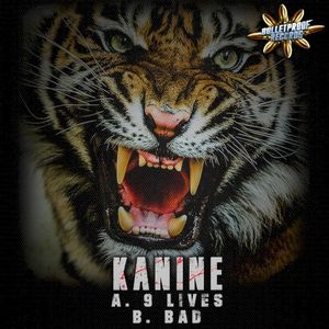 9 Lives (Single)