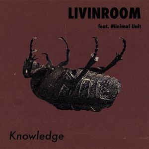 Knowledge (Single)