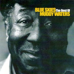 Blue Skies: The Best of Muddy Waters