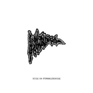 High on Formaldehyde (EP)