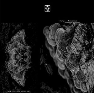 Transformers (EP)
