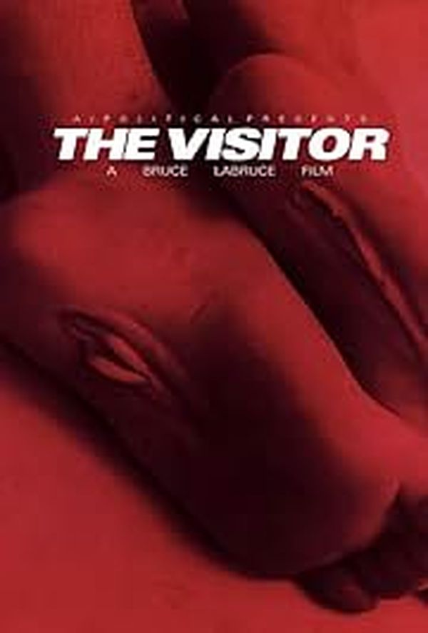 The Visitor