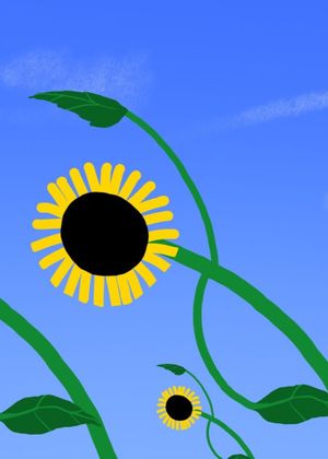 Tournesol