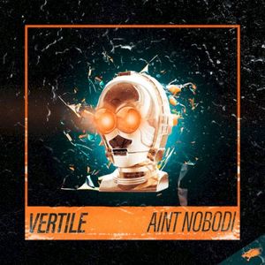 Ain't Nobodi (Single)