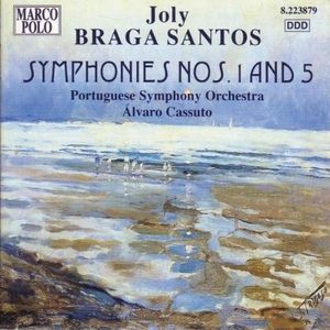 Symphony no. 1: I. Molto sostenuto - Allegro enérgico