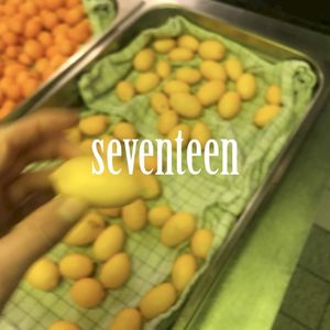 Seventeen (Single)