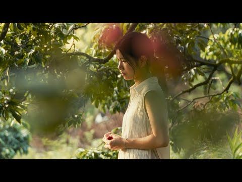Bande-annonce de Borrowed Time
