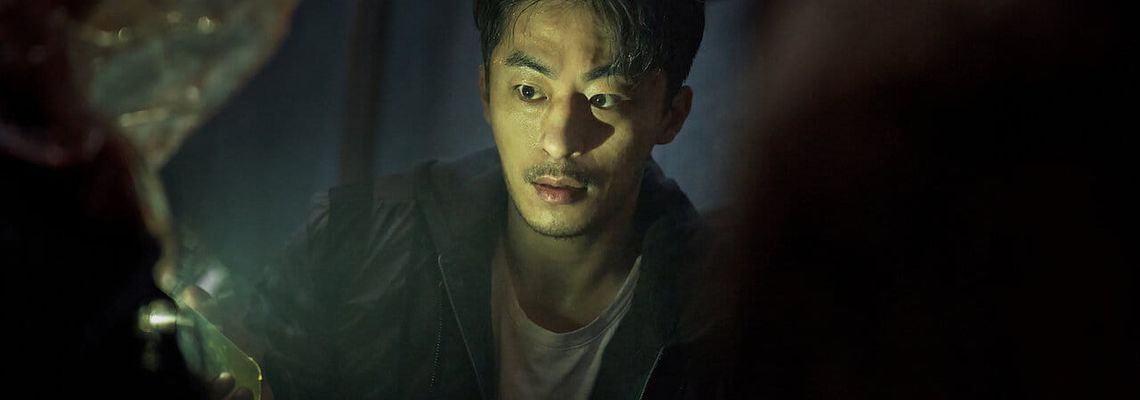 Cover Parasyte: The Grey