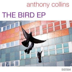 the bird ep (EP)