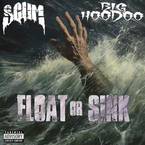 Float or Sink