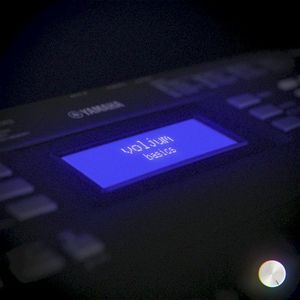 Basics (Single)