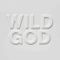 Wild God