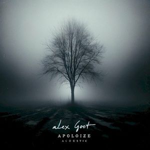Apologize (acoustic) (Single)