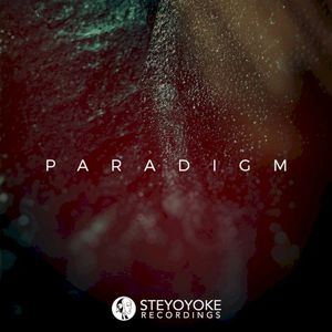 Steyoyoke Paradigm Vol. 07