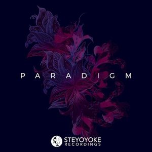 Steyoyoke Paradigm Vol. 02