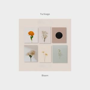 Bloom