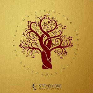 Steyoyoke Perception, Vol. 03