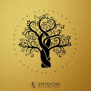 Steyoyoke Perception, Vol. 01