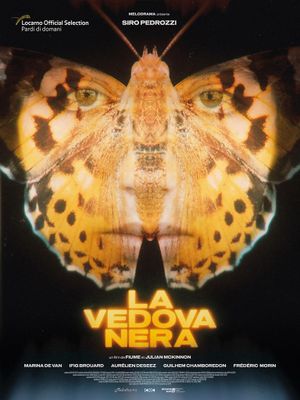 La Vedova Nera