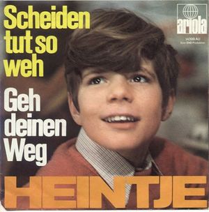 Scheiden tut so Weh (Single)