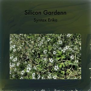 Silicon Gardenn