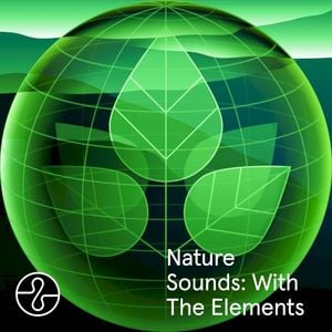 Nature Sounds: With The Elements (Ocean, Rain, Forest)