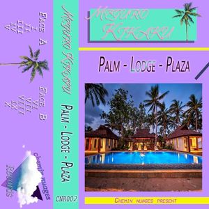 Palm Lodge Plaza