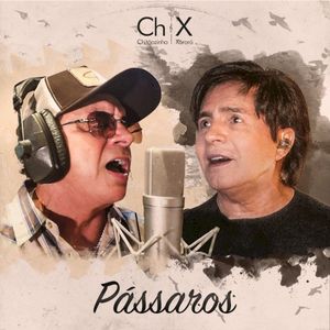 Pássaros (Single)