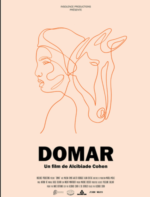 Domar