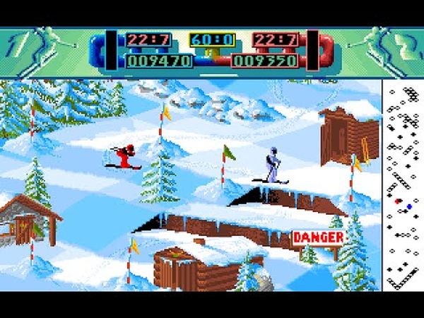 Professional Ski Simulator