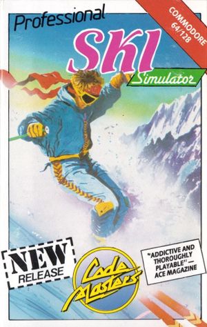 Professional Ski Simulator