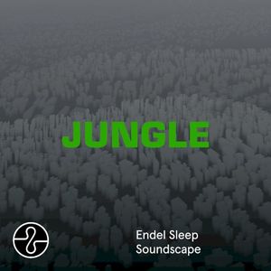 JUNGLE (Sleep Soundscape)