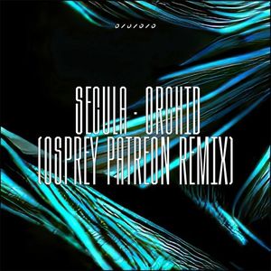 Orchid (Osprey Patreon Remix) (Single)
