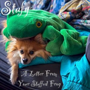 A Letter From Your Stuffed Frog (Single)