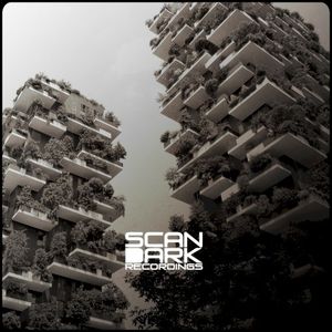 Natural Transgression (Single)