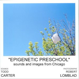 Epigenetic Preschool: Sounds and Images From Chicago