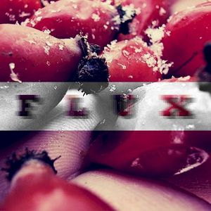 Flux (EP)