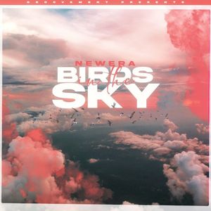 Birds in the Sky (Single)