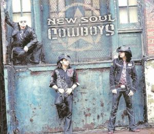 New Soul Cowboys